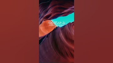 أفلا ينظرون الي الأبل كيف خلقت - تلاوة خاشعة و جميلة - حالات واتساب قران