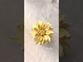Hoa thược dược kem / #caketv #pipingflowers