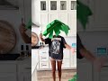 Making DIY GIANT Paper Palm Trees 