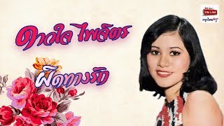 ผิดทางรัก ดาวใจ ไพจิตร 30 ปีทอง ชุดที่ 2