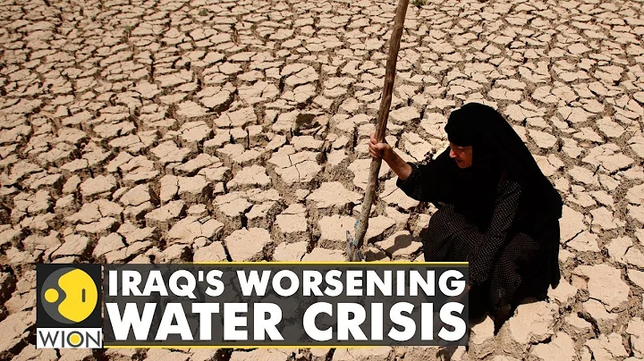 Report: Water crisis will impact Iraq's growth and jobs | English News | WION Climate Tracker - DayDayNews