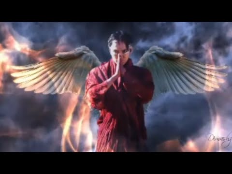 REACTION to DIMASH  — Love of tired swans (fan made vid & performance)