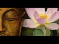 Enseñanzas del Buda - Dhammapada