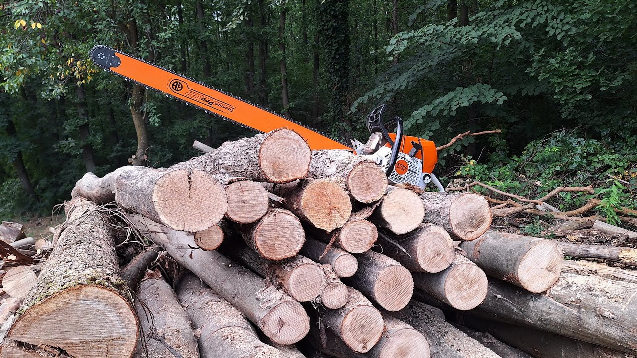 Stihl ms 651 & Shindaiwa 452s working. - YouTube