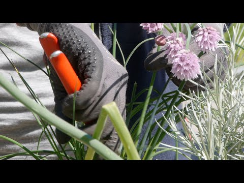 Betriebsbesuch bei der GARTEN TULLN