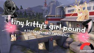 Tiny Kitty's Girl Pound Tribute Video Part 1 [Team Fortress 2]