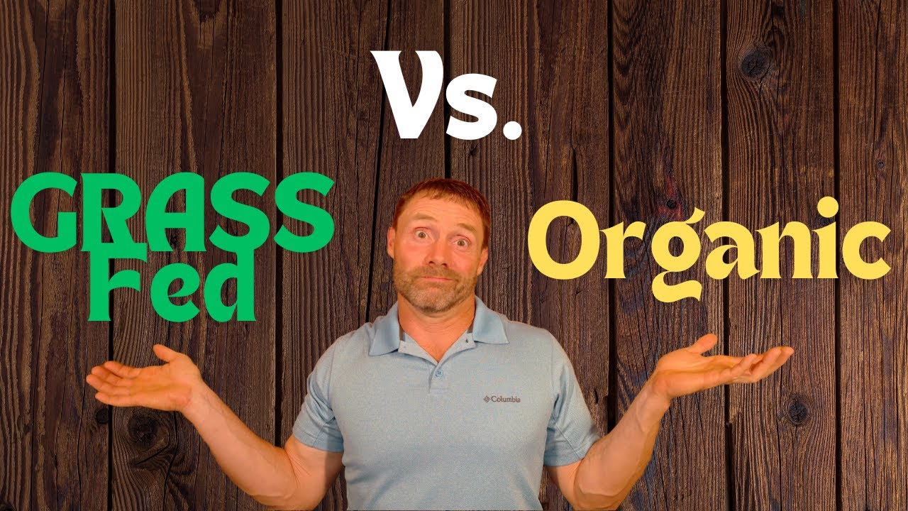 Grassfed Beef vs. Organic Beef in 2024