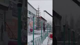 вот так коммунальщики В Якутии установили и нарядили ёлку#shotrs