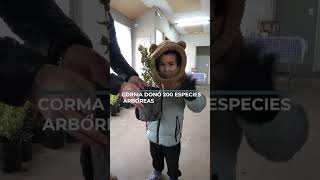 Corma celebra el Día de la Plantación con donación de 200 árboles a vecinos de Pillanlebún