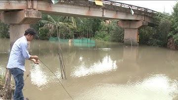 Khảo sát chất lượng nguồn nước thủy lợi Cái Lớn - Cái Bé phục vụ sản xuất nông nghiệp