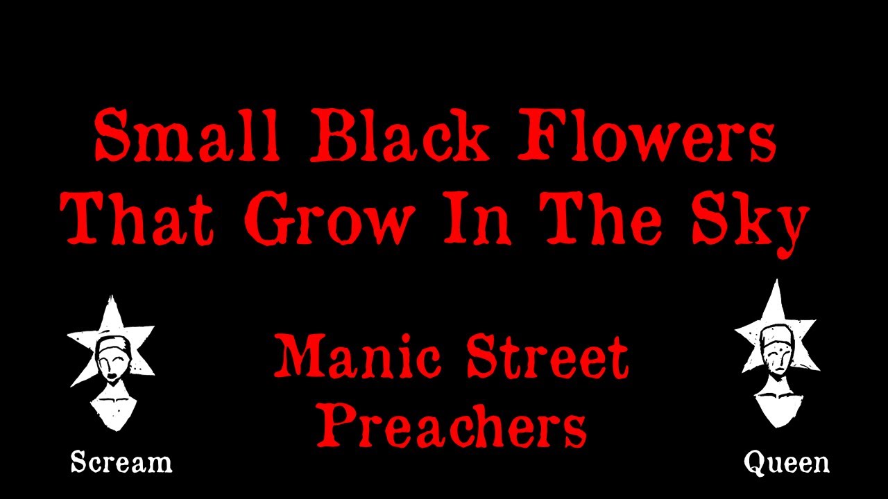 Manic Street Preachers Small Black Flowers That Grow In The Sky