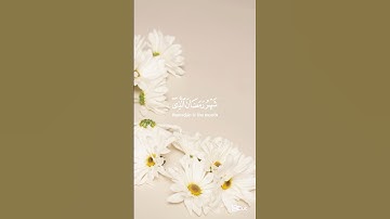 ‏﴿شَهرُ رَمَضانَ الَّذي أُنزِلَ فيهِ القُرآن﴾ سورة البقرة | القارئ فارس عباد #رمضان_كريم 🌙