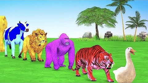 Long Slide Game With Gorilla Cow Elephant Hippopotamus Tiger 3d Animal Game Funny 3d Animal #3d