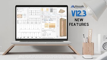 Mozaik Software 12.3 New Features