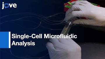 Single-Cell Microfluidic Analysis Of Bacillus subtilis l Protocol Preview