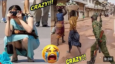 Video 10882321: laugh funny fails cat, cat dog fail funny, cat animal fails funny