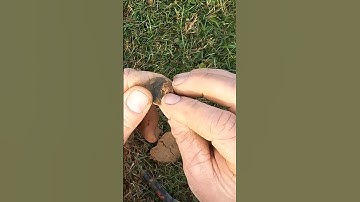 finding money metal detecting local park. #treasure #minelabmetaldetector #minelabvanquish440