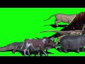 Dinosaur Animal Stampede Green Screen