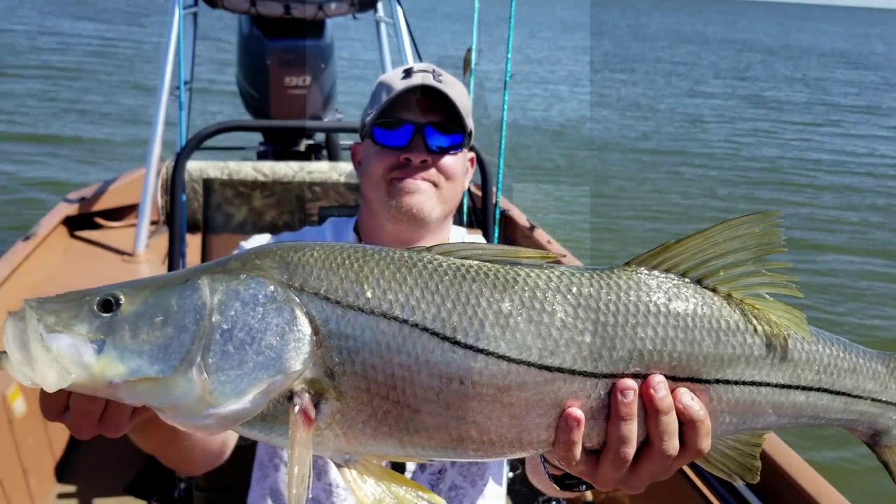 Fishing Homosassa river FL for Redfish and snook - YouTube