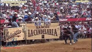 EL SON DE LA RABIA CHUY LIZARRAGA VIDEO