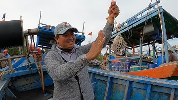 Câu cá ở biển Lộc an vũng tàu | Nghĩa tình TV