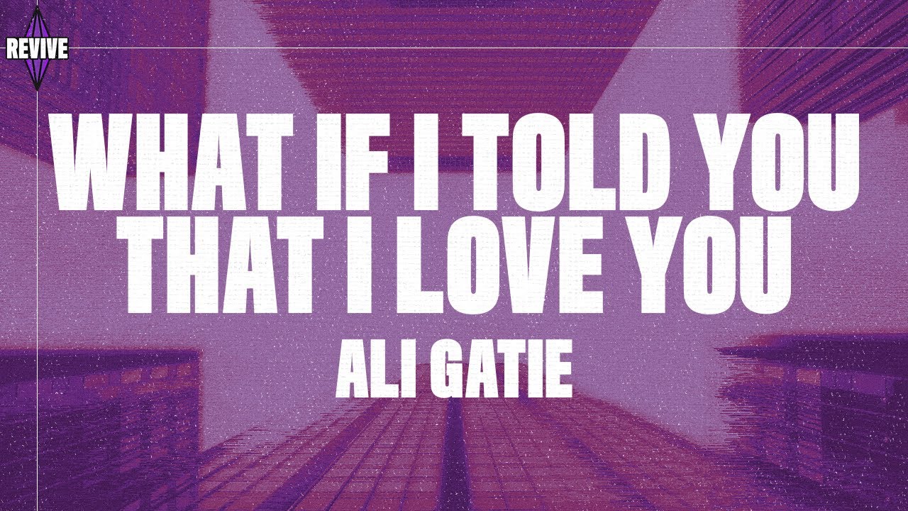 Ali Gatie What If I Told You That I Love You Lyrics Would You Tell Me That You Love Me Back Youtube