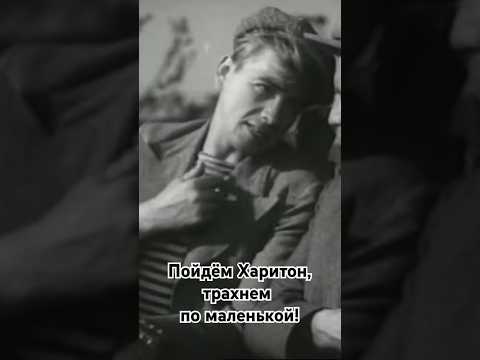 Пойдём, Харитон, трахнем по маленькой! #shorts #кино #фильм #нашекино #film #movie