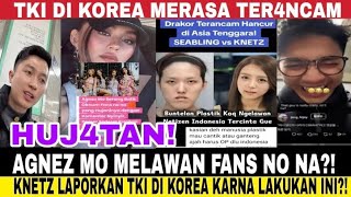 Fans No Na Vs Agnez Mo U0026 Knetznetijen Korea Selatan Menyerah Minta Indonesia Hentikan Hujatan Tki