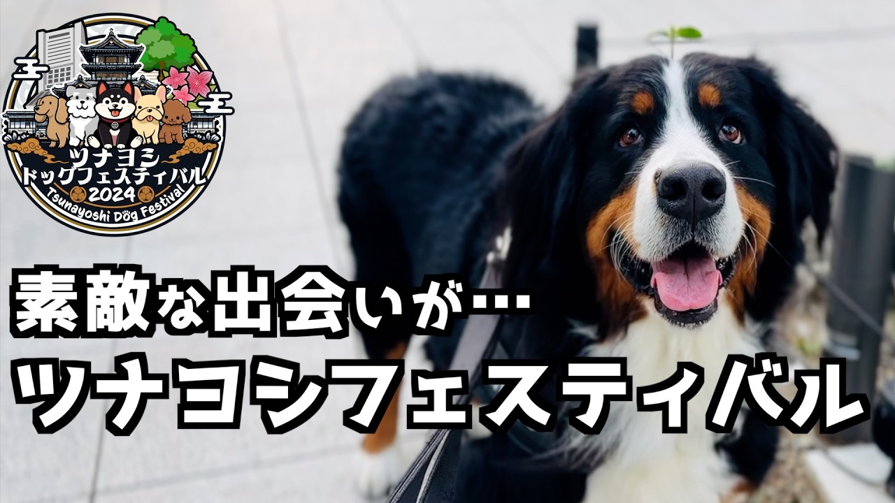 バーニーズと楽しむドッグイベント！ツナヨシフェスティバルで大満喫🐾