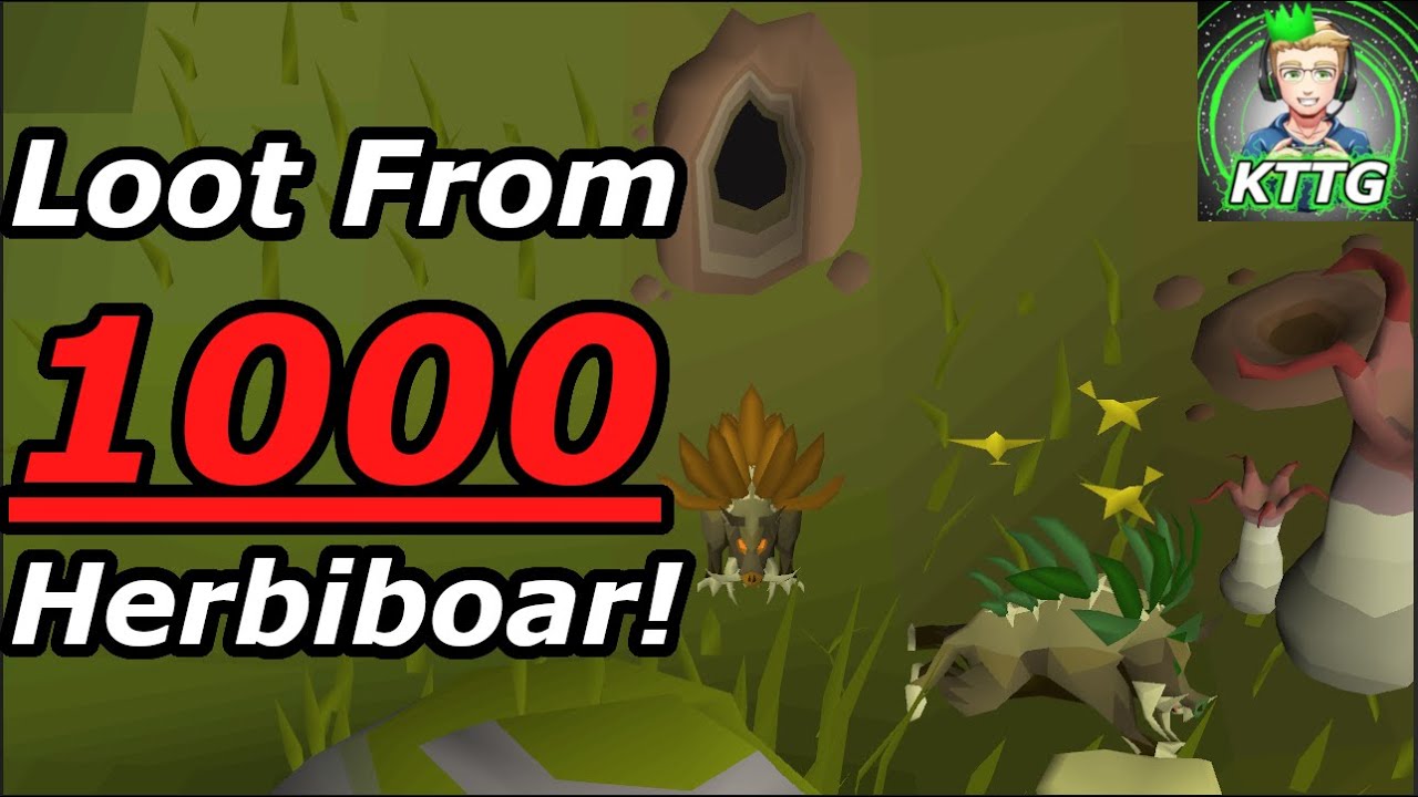 Loot From 1,000 Herbiboar! OSRS! osrs YouTube