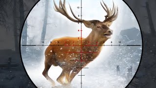 Deer Hunting3d-野生動物の射撃ゲーム2021Androidゲームプレイ screenshot 5