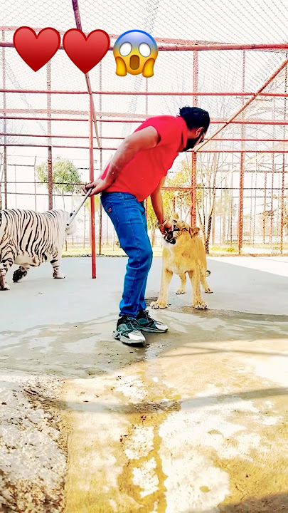 #hiphop #rap #mcstan #music #tiger #rapper