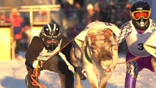 Reindeer race in Tromsø 2017