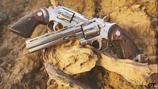 Return of the Colt Python | Gun Talk Wealth