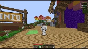 Hypixel Capture The Wool | 6,000 caps gameplay