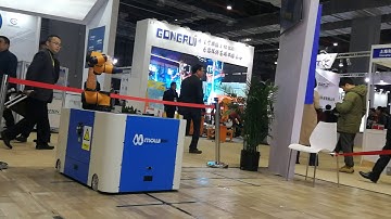 mowei 6 axis omnidirectional robot