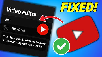 Fix This Video Cannot Be Trimmed, Blurred Because it has Multi Language Audio Tracks
