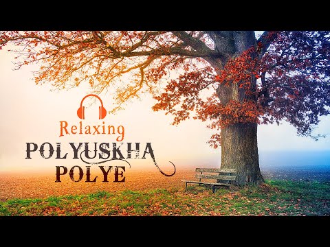 90 dk ~ Relaxing, Uyku ve Kitap Okuma Müziği ~ Polyushka Polye