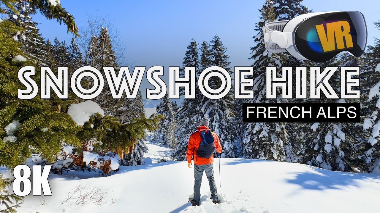 FRENCH ALPS in 3D: Winter Forest Hike [8K VR180]