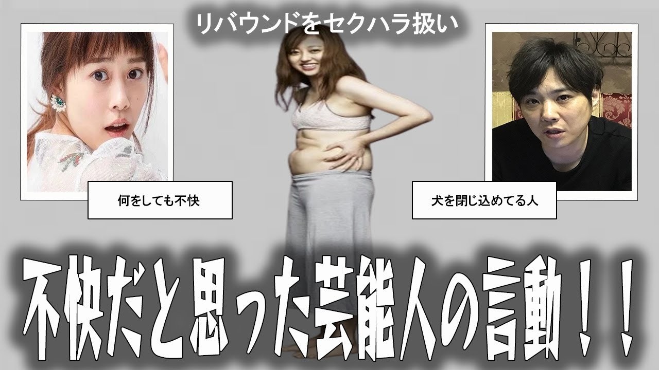 【雑談スレ】不快だと思った芸能人の言動【ガルちゃん芸能人】