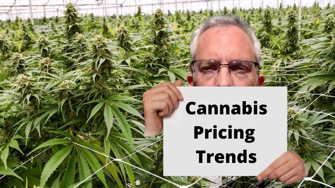 Cannabis Pricing Trends Report