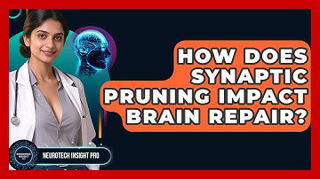 How Does Synaptic Pruning Impact Brain Repair? - Neurotech Insight Pro