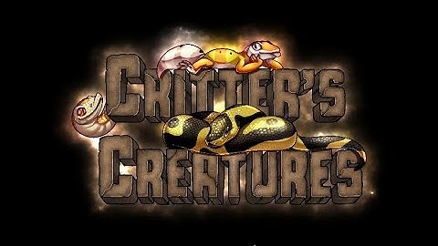 Leopard Gecko Hatching Timelapse