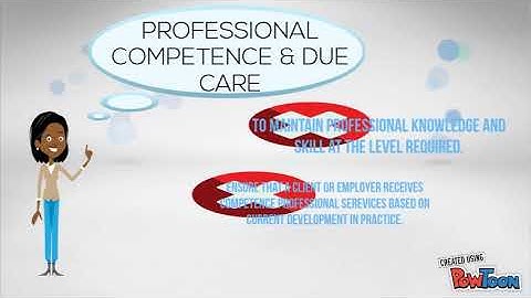 audit objective and general principles