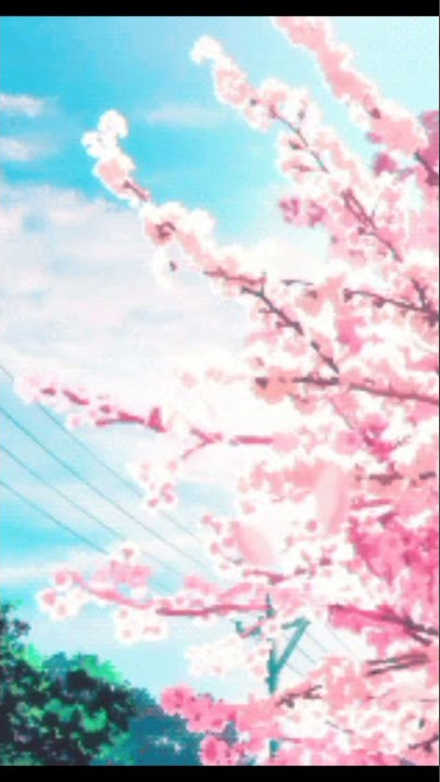 💚 Cherry Blossom Gif 💚