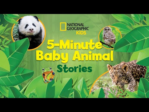 5-Minute Baby Animal Stories | National Geographic Kids