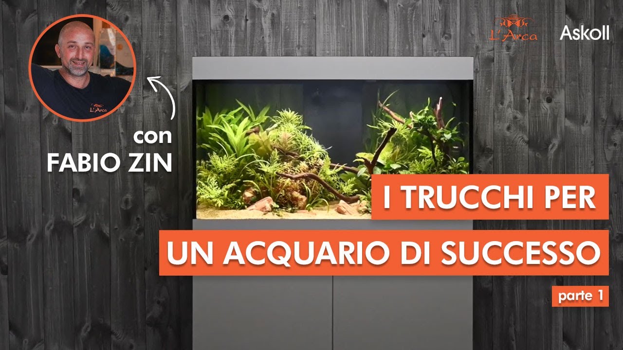 ASKOLL OPERA 110 | I trucchi per un acquario di successo pt. 1 - YouTube