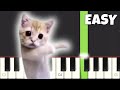 Chinese bath song meme  easy piano animals dancing mc