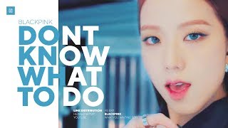 BLACKPINK  Don't Know What To Do Line Distribution (Color Coded) | 블랙핑크