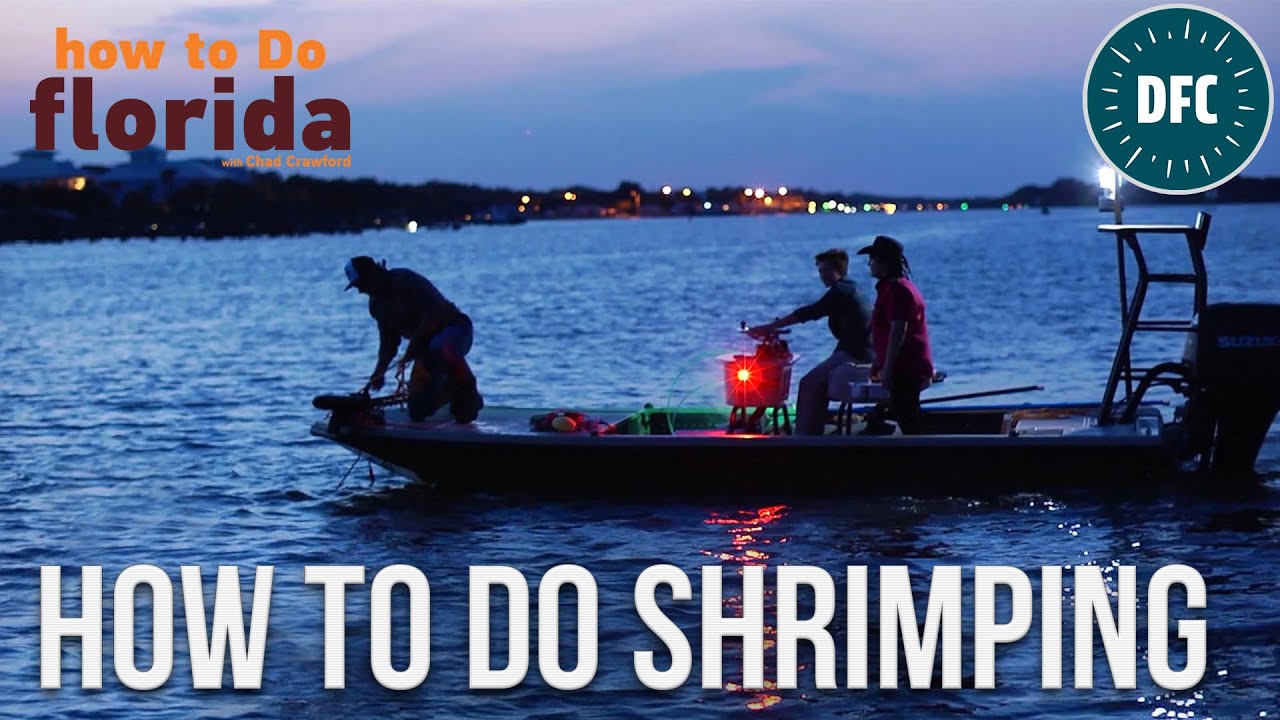 How to do Shrimping - YouTube
